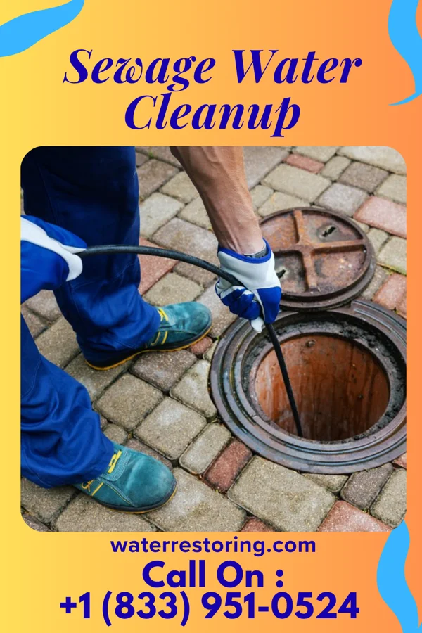 Sewage Water Cleanup in Humboldt River Ranch, NV